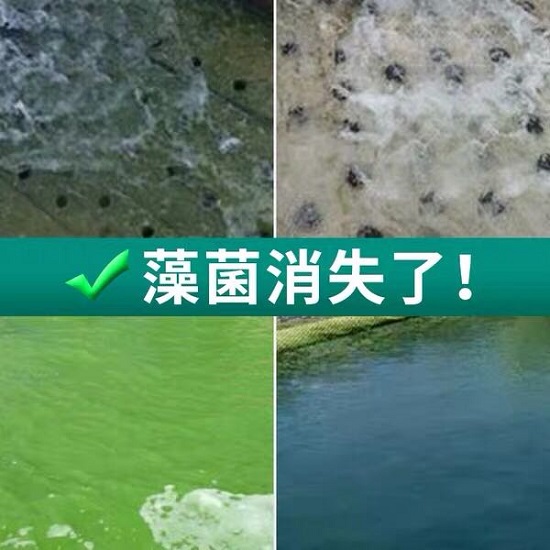 中浩遠達|殺菌劑對循環(huán)冷卻水常見微生物處理